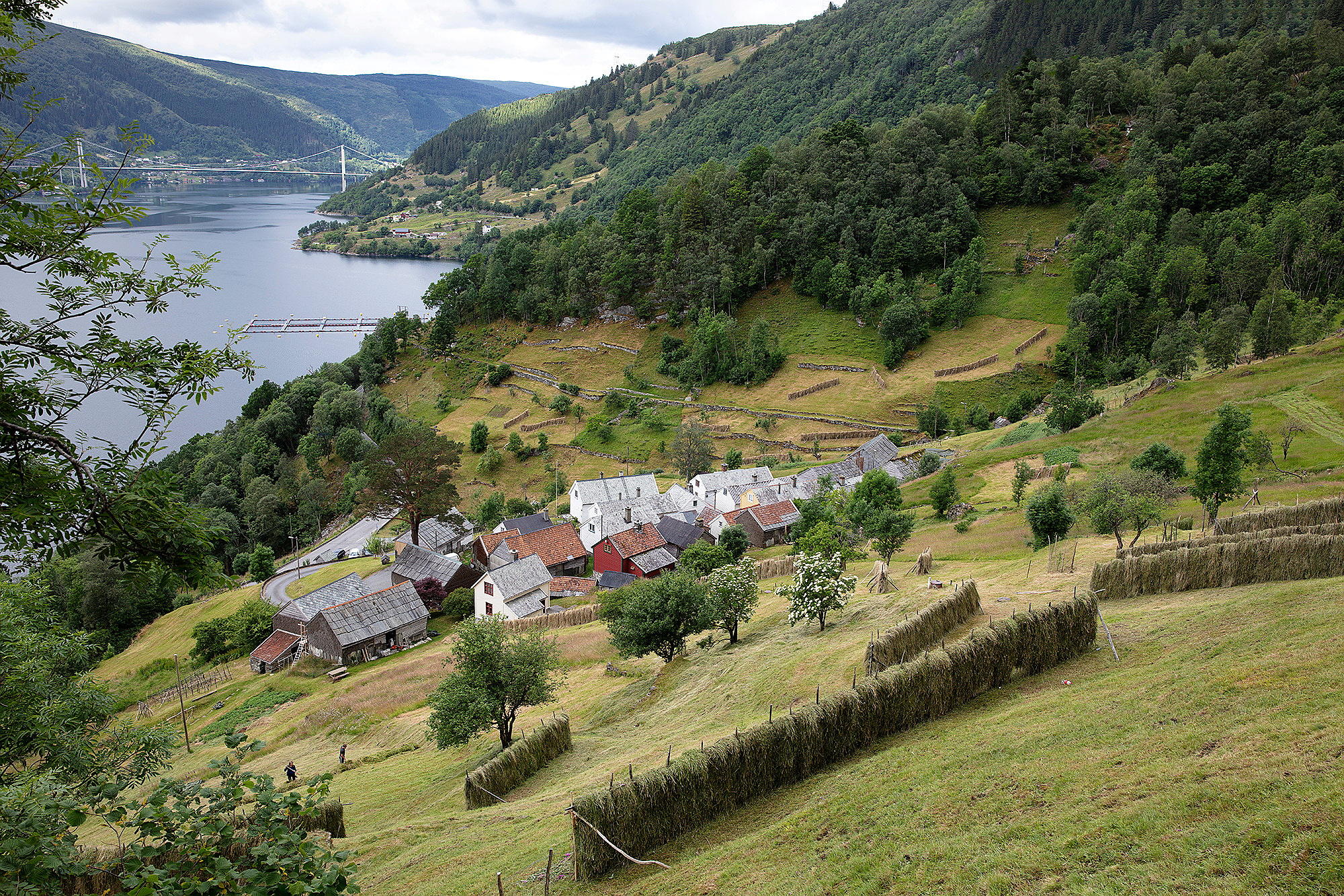 Jordbrukslandskapet på Havråtunet.