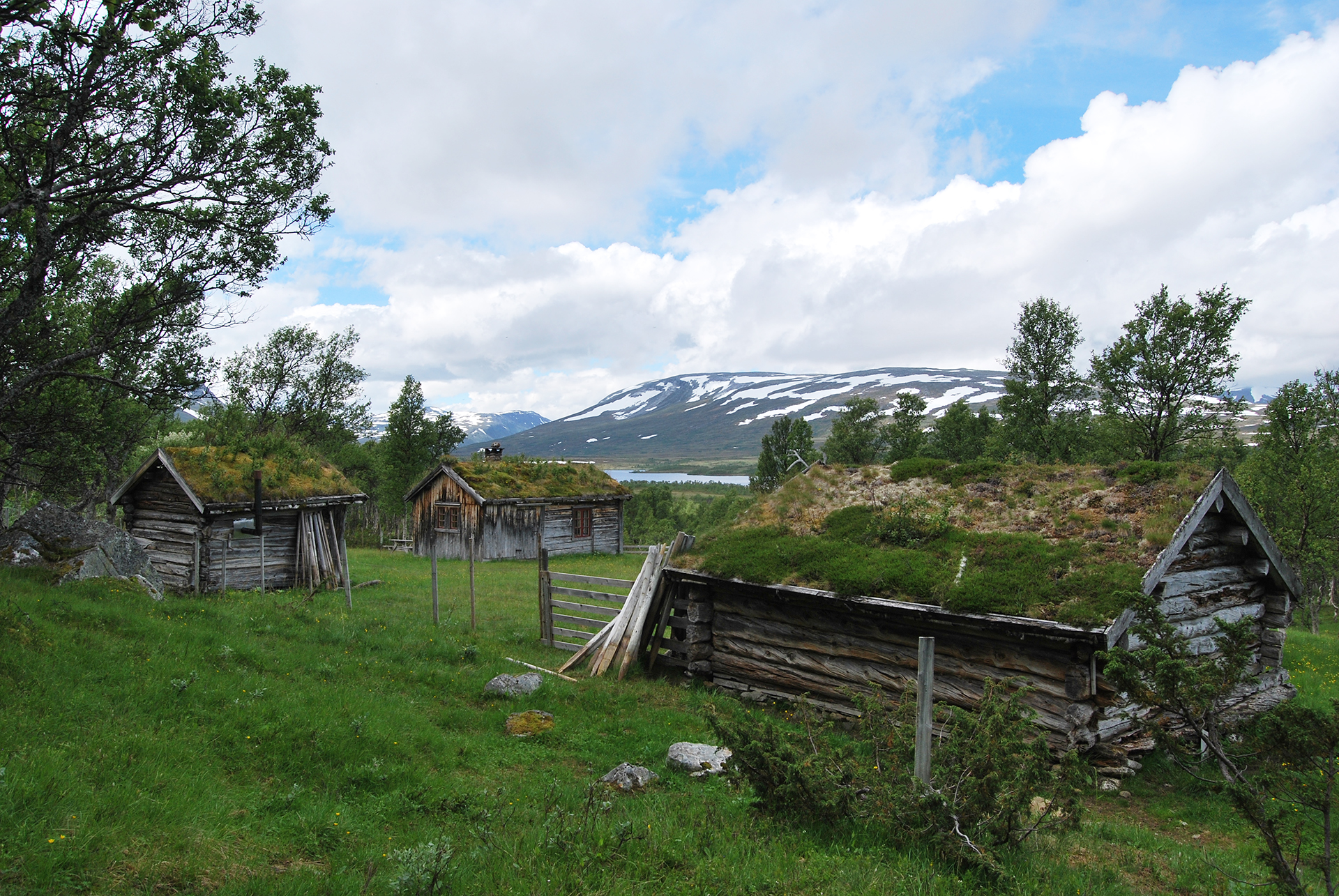 Flere trehus i laft med gresstak ligger på et grønt jorde omgitt av trær, med fjell og en delvis overskyet himmel i bakgrunnen.